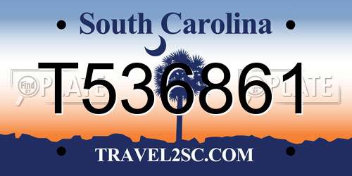 T536861 South Carolina License Plate