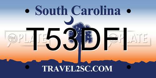 T53DFI South Carolina License Plate