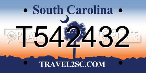 T542432 South Carolina License Plate
