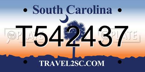 T542437 South Carolina License Plate
