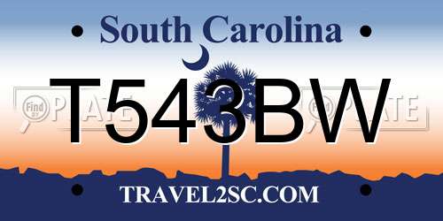 T543BW South Carolina License Plate