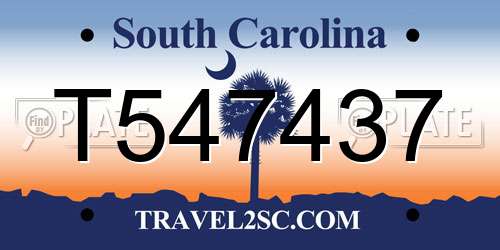 T547437 South Carolina License Plate