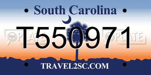 T550971 South Carolina License Plate