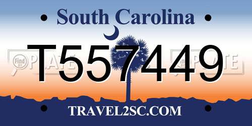 T557449 South Carolina License Plate