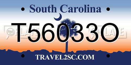 T56033O South Carolina License Plate