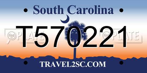 T570221 South Carolina License Plate