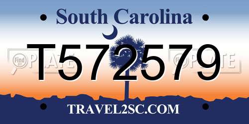 T572579 South Carolina License Plate