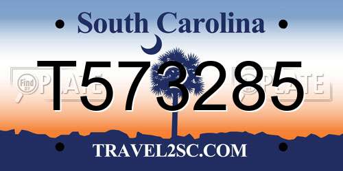 T573285 South Carolina License Plate
