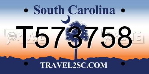 T573758 South Carolina License Plate