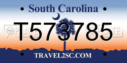 T573785 South Carolina License Plate