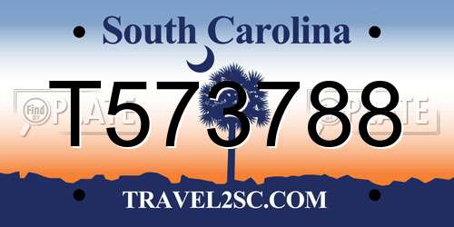 T573788 South Carolina License Plate