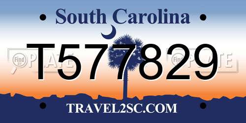 T577829 South Carolina License Plate