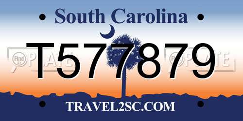 T577879 South Carolina License Plate