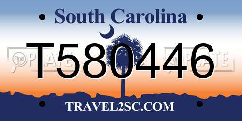 T580446 South Carolina License Plate