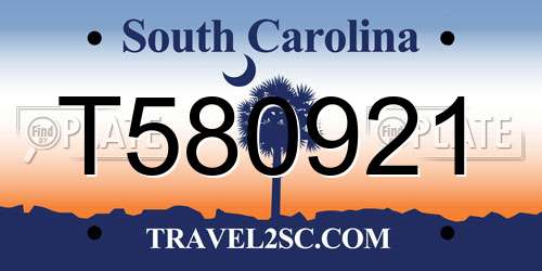 T580921 South Carolina License Plate