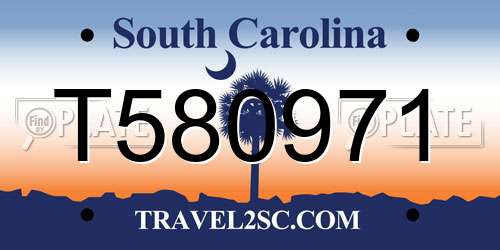 T580971 South Carolina License Plate