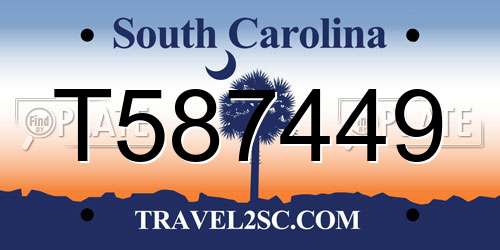 T587449 South Carolina License Plate
