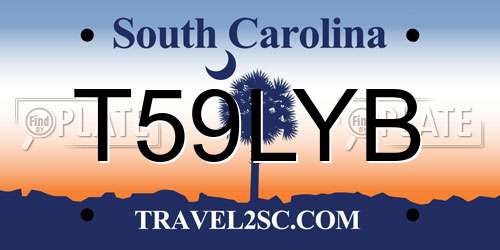 T59LYB South Carolina License Plate