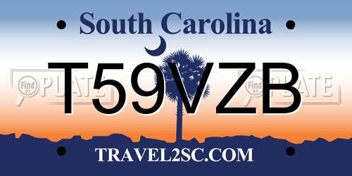 T59VZB South Carolina License Plate