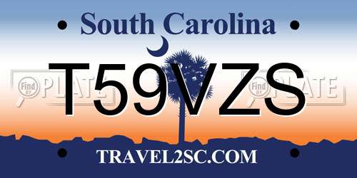 T59VZS South Carolina License Plate