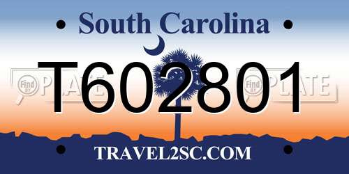 T602801 South Carolina License Plate