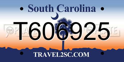 T606925 South Carolina License Plate