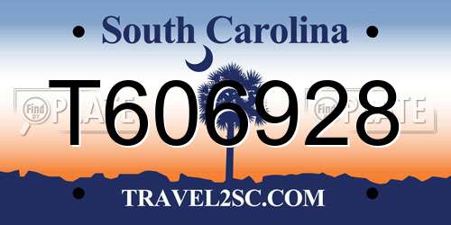 T606928 South Carolina License Plate