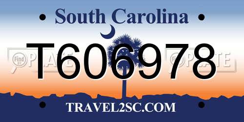 T606978 South Carolina License Plate