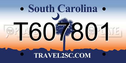 T607801 South Carolina License Plate