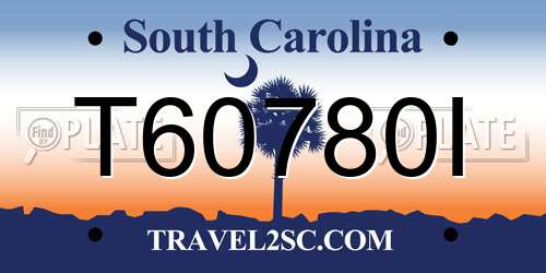 T60780I South Carolina License Plate