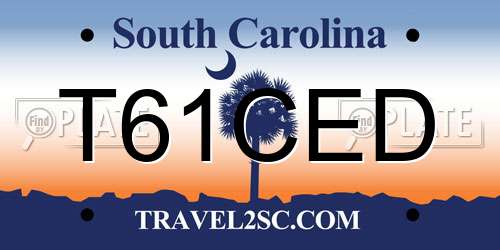 T61CED South Carolina License Plate