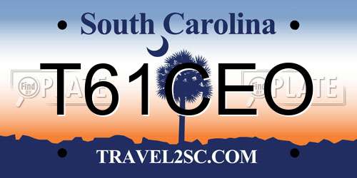 T61CEO South Carolina License Plate