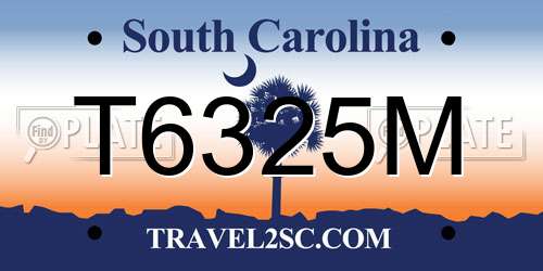 T6325M South Carolina License Plate
