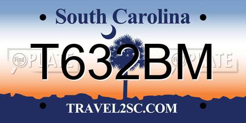 T632BM South Carolina License Plate