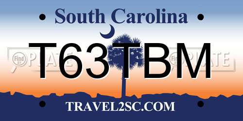 T63TBM South Carolina License Plate