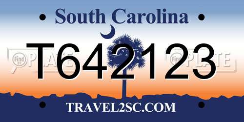 T642123 South Carolina License Plate