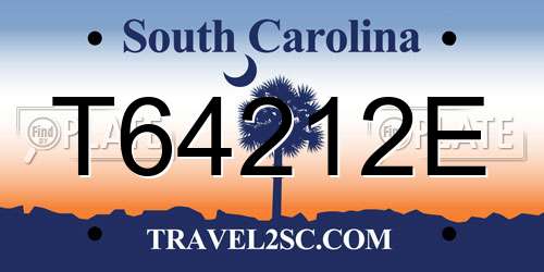 T64212E South Carolina License Plate
