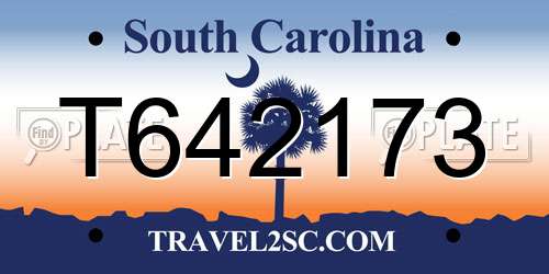 T642173 South Carolina License Plate