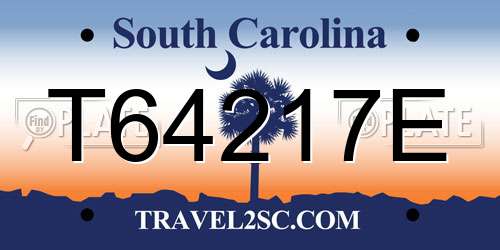 T64217E South Carolina License Plate