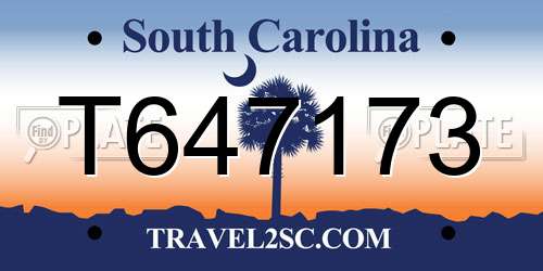 T647173 South Carolina License Plate