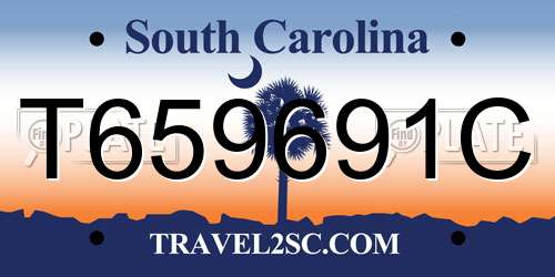 T659691C South Carolina License Plate