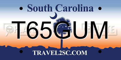 T65GUM South Carolina License Plate