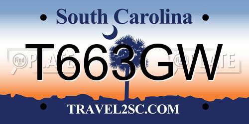 T663GW South Carolina License Plate