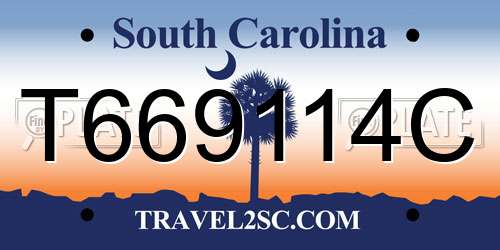 T669114C South Carolina License Plate