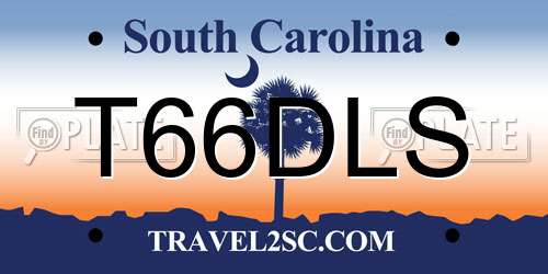 T66DLS South Carolina License Plate