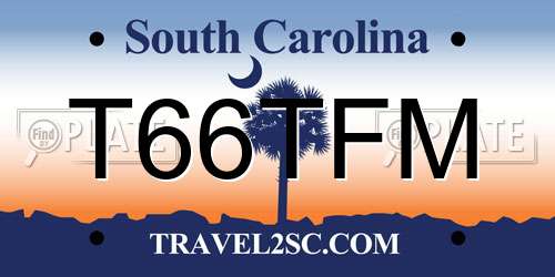 T66TFM South Carolina License Plate