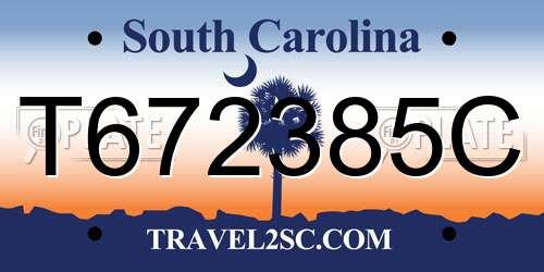 T672385C South Carolina License Plate