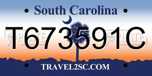 T673591C South Carolina License Plate