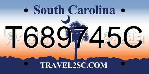 T689745C South Carolina License Plate