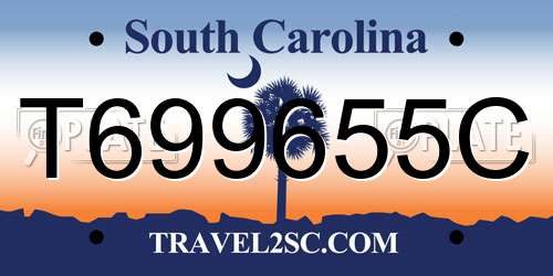 T699655C South Carolina License Plate